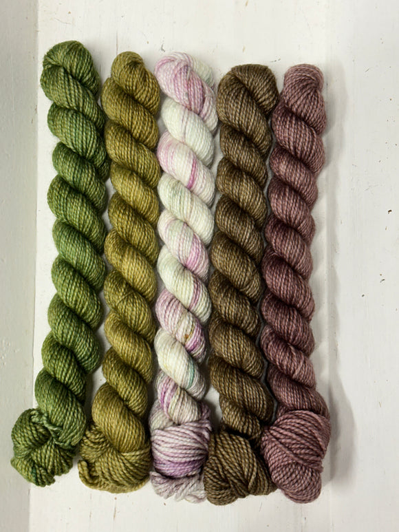 Delectable Collectible Sock Set; Charles Merino Fingering Set #6