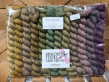 Pretty Peacock 20g Minis Set; Ready to Ship