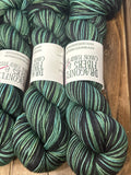 Honestly Wild; Self-Striping Yarn on William Merino