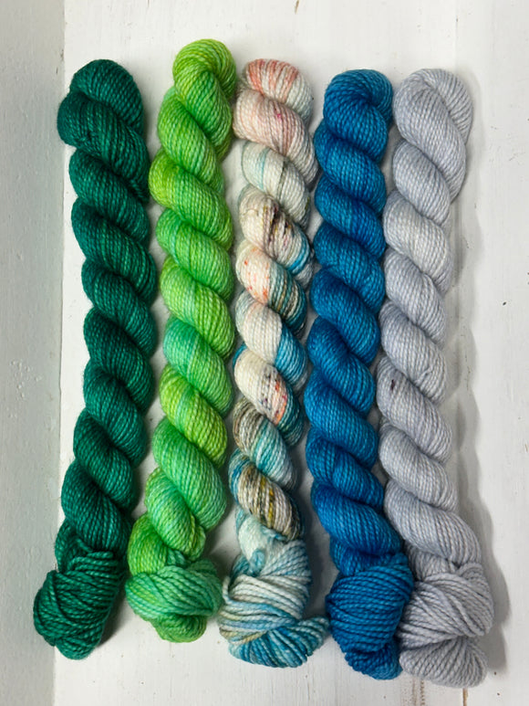 Delectable Collectible Sock Set; Charles Merino Fingering Set #7