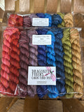 Bugga SPORT 50yd Minis Set for Sweater Yokes & Color Work; Set #4