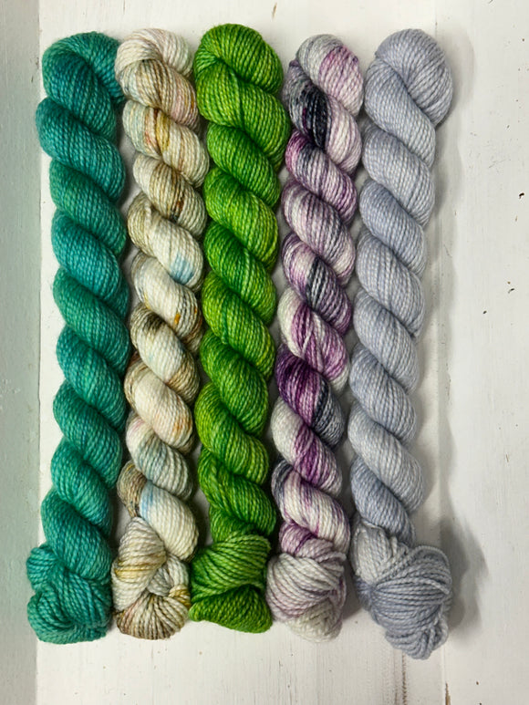 Delectable Collectible Sock Set; Charles Merino Fingering Set #12