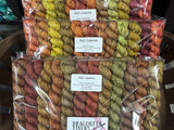Fall Leaves Minis Set; Ready to Ship