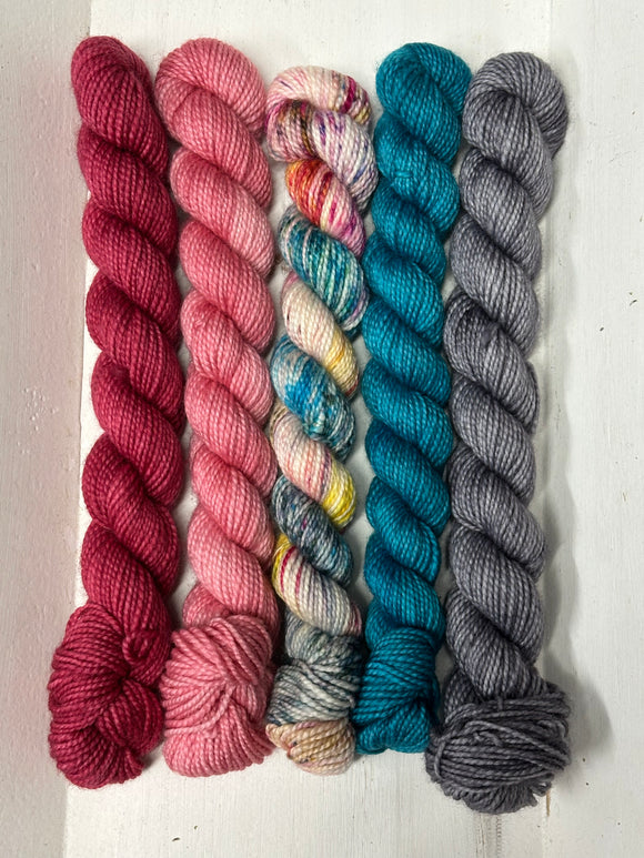 Delectable Collectible Sock Set; Charles Merino Fingering Set #11