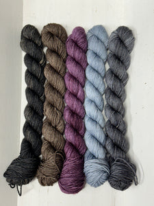 Delectable Collectible Sock Set; William Merino Fingering Set #2