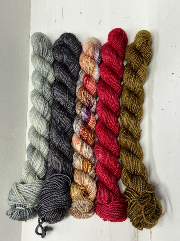 Delectable Collectible Sock Set; Charles Merino Fingering Set #10