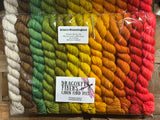 Allen's Hummingbird Half-vent Minis Set; READY TO SHIP