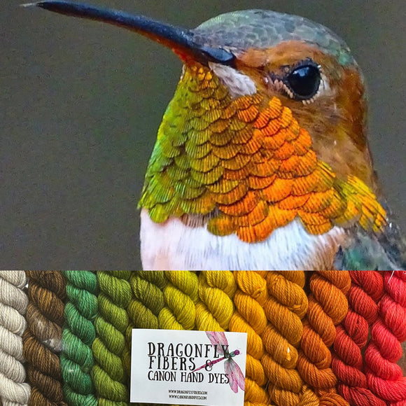 Allen's Hummingbird Half-vent Minis Set; READY TO SHIP