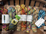 DESTASH: 4 skein MYSTERY GRAB BAG SELF-STRIPING YARN