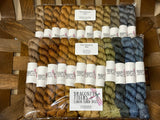 Four Seasons Half-vent Minis Set: FALL; PRE-ORDER